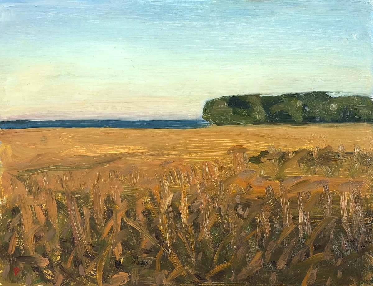 Late Autumn Marsh (Study) by John Beerman 