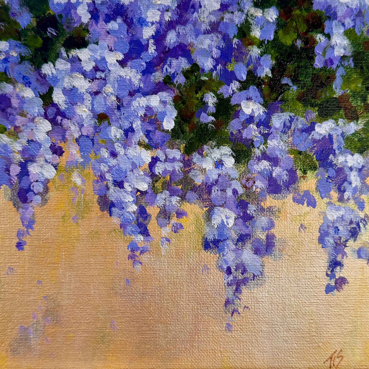 Wisteria Study by Thomas Stevens, Image 1.