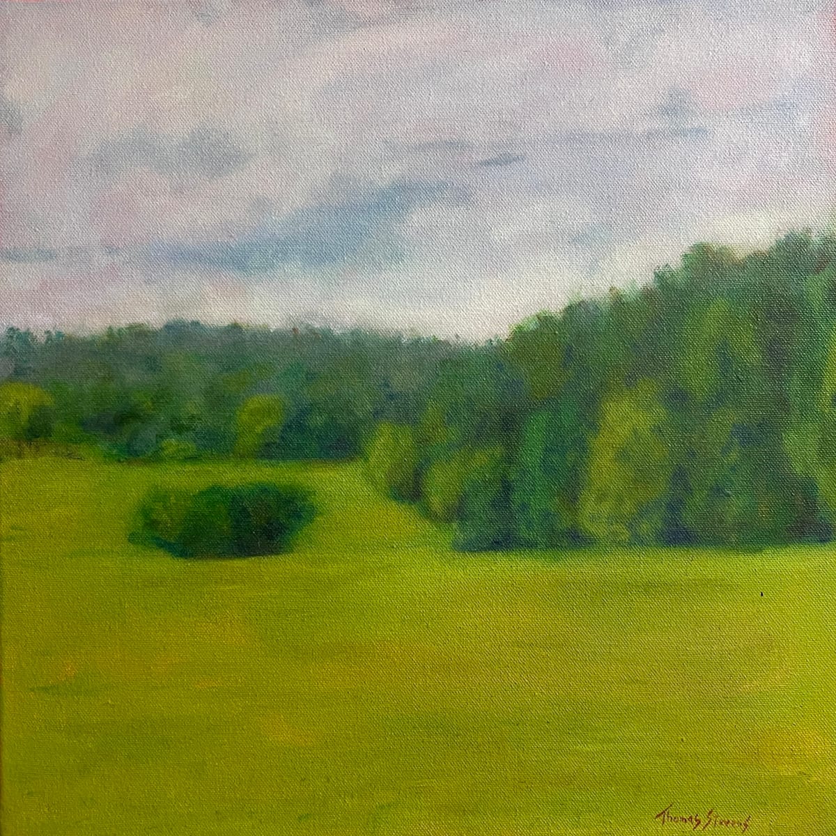 Blackwood Farm Vista  36.0142N 79.0786W by Thomas Stevens 