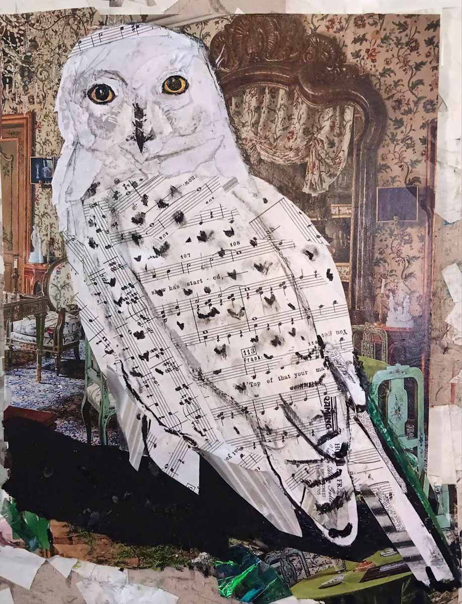 SNOWY OWL by Kathryn DeMarco 