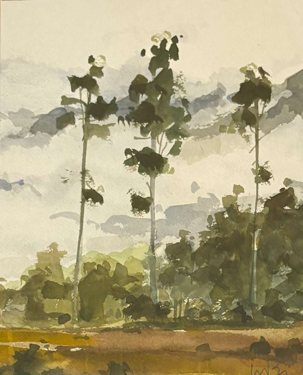 Pine Tree Study by Michael Brown, Image 1.
