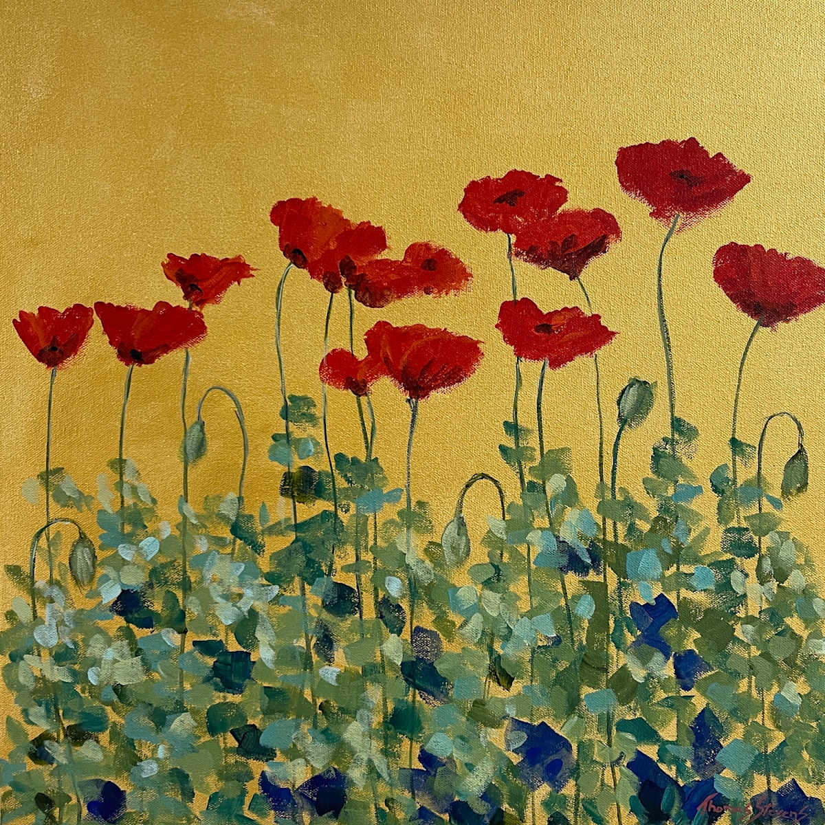Creekside Poppies by Thomas Stevens 