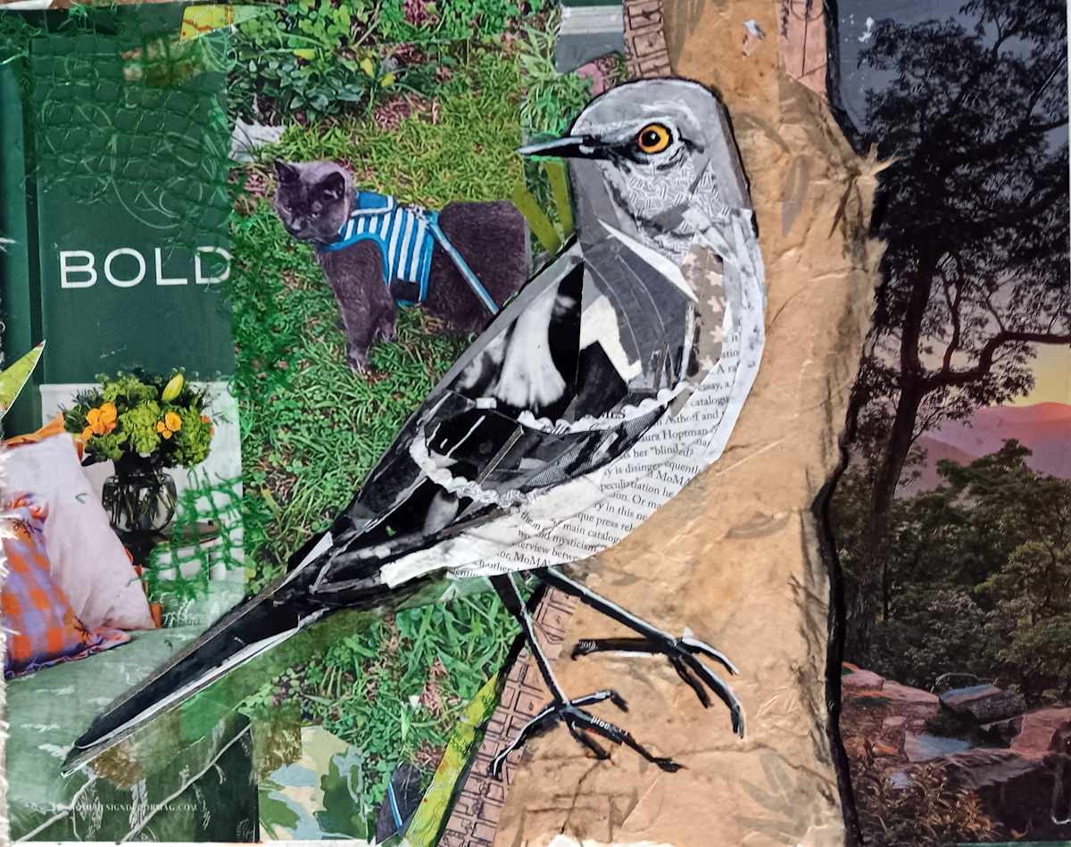 BOLD MOCKINGBIRD by Kathryn DeMarco 