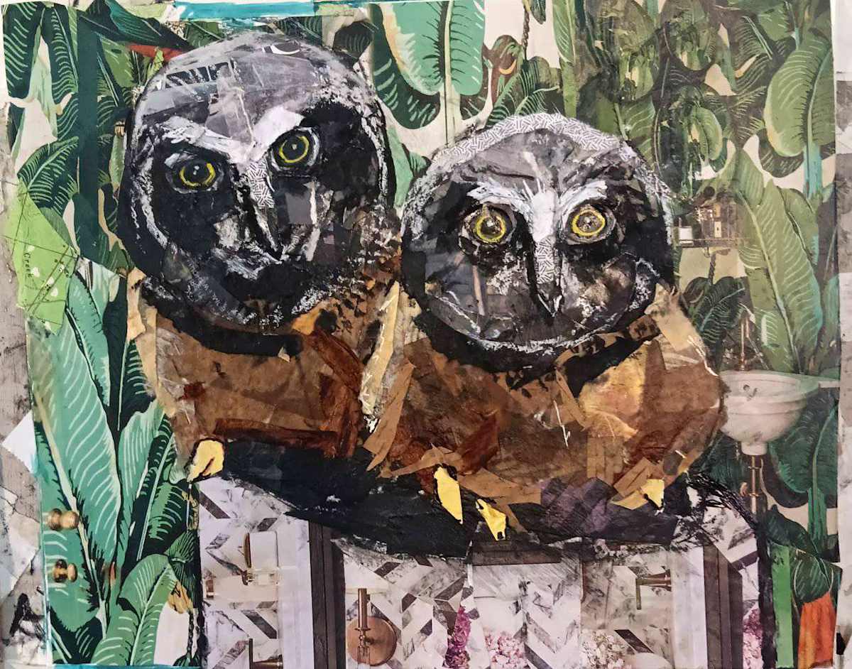 SAW WHET OWL YOUTHS by Kathryn DeMarco 