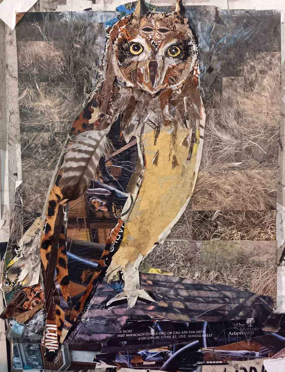SHORT EARRED OWL by Kathryn DeMarco 