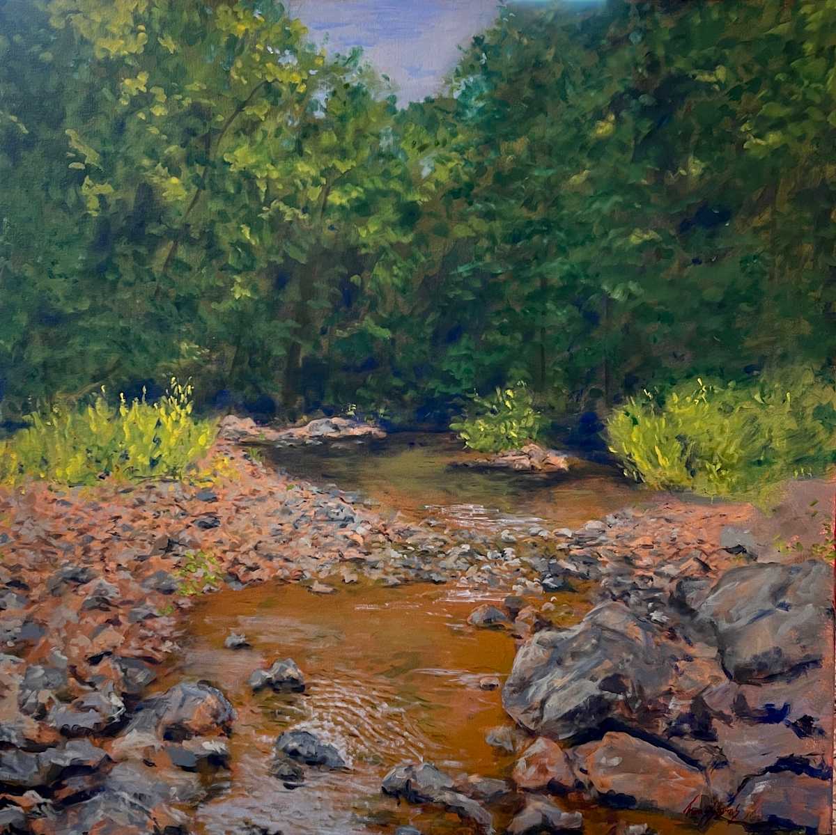 New Hope Creek 35.99226N 79.05293W by Thomas Stevens 