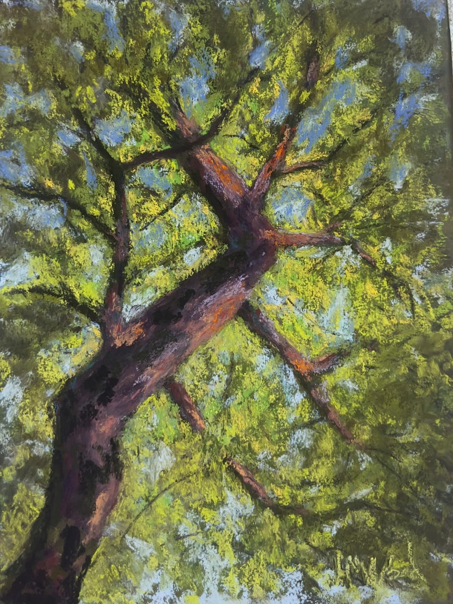 Skyward by Helen Wood, Image 2.