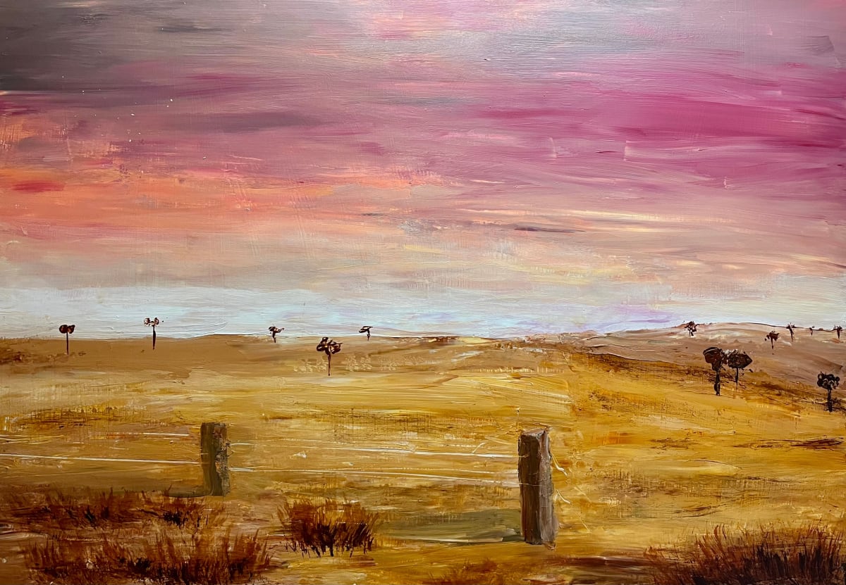 Fence in outback by Ian Collins 