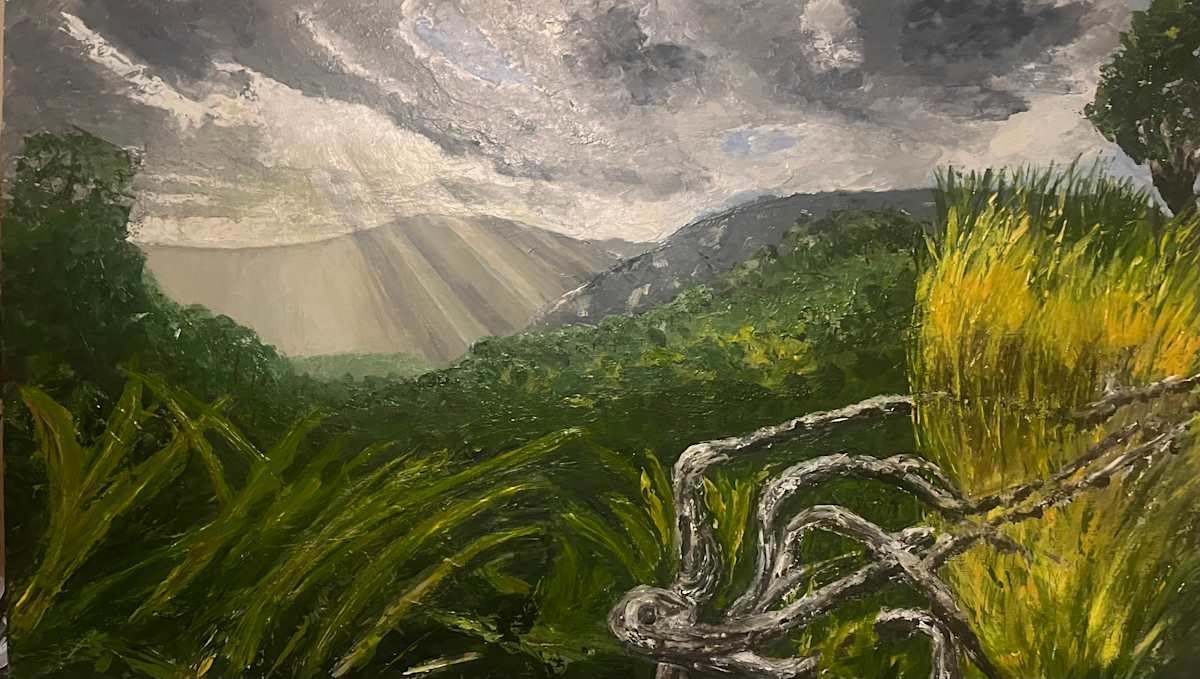 Walking South NZ by Ian Collins 