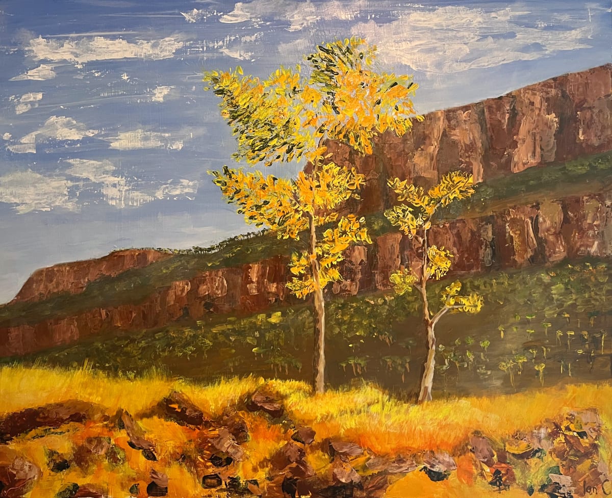 Yellows in the outback by Ian Collins 