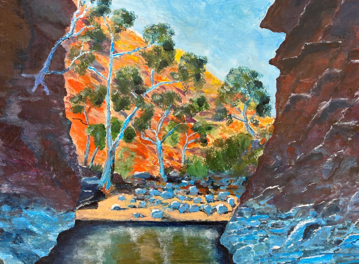 Waterhole on Larapinta by Ian Collins 