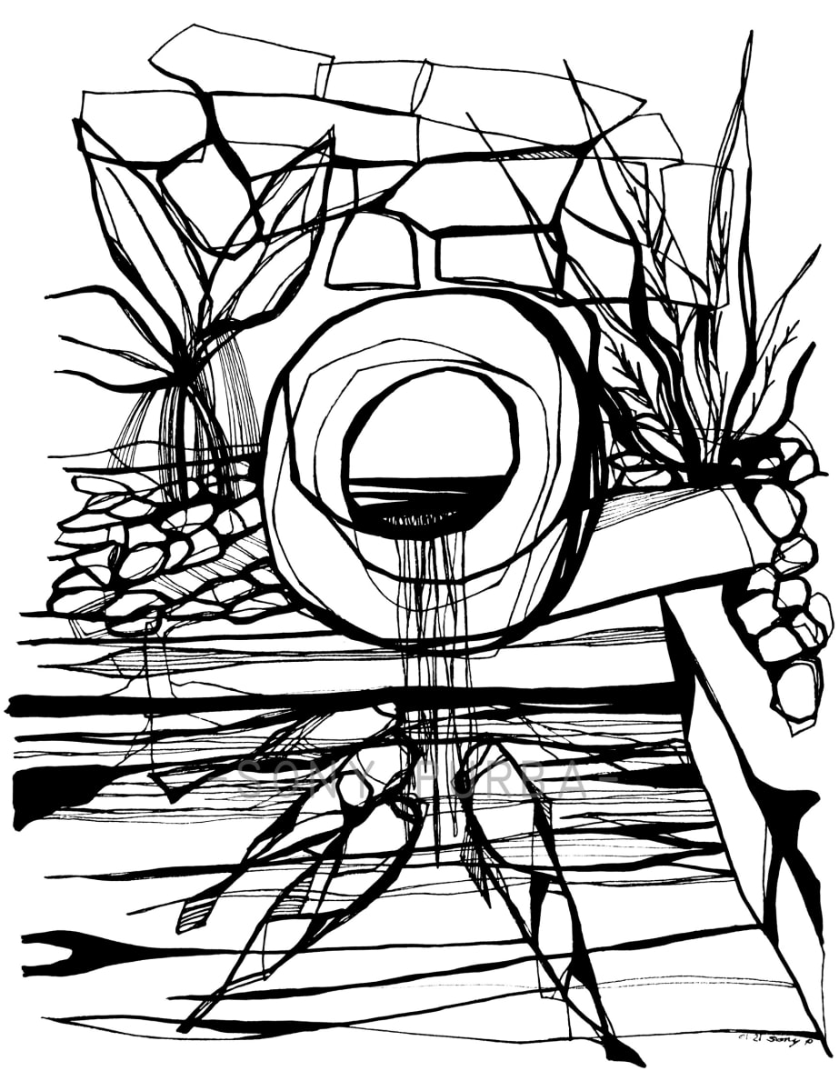 Koi Pond by Sony R. Purba 