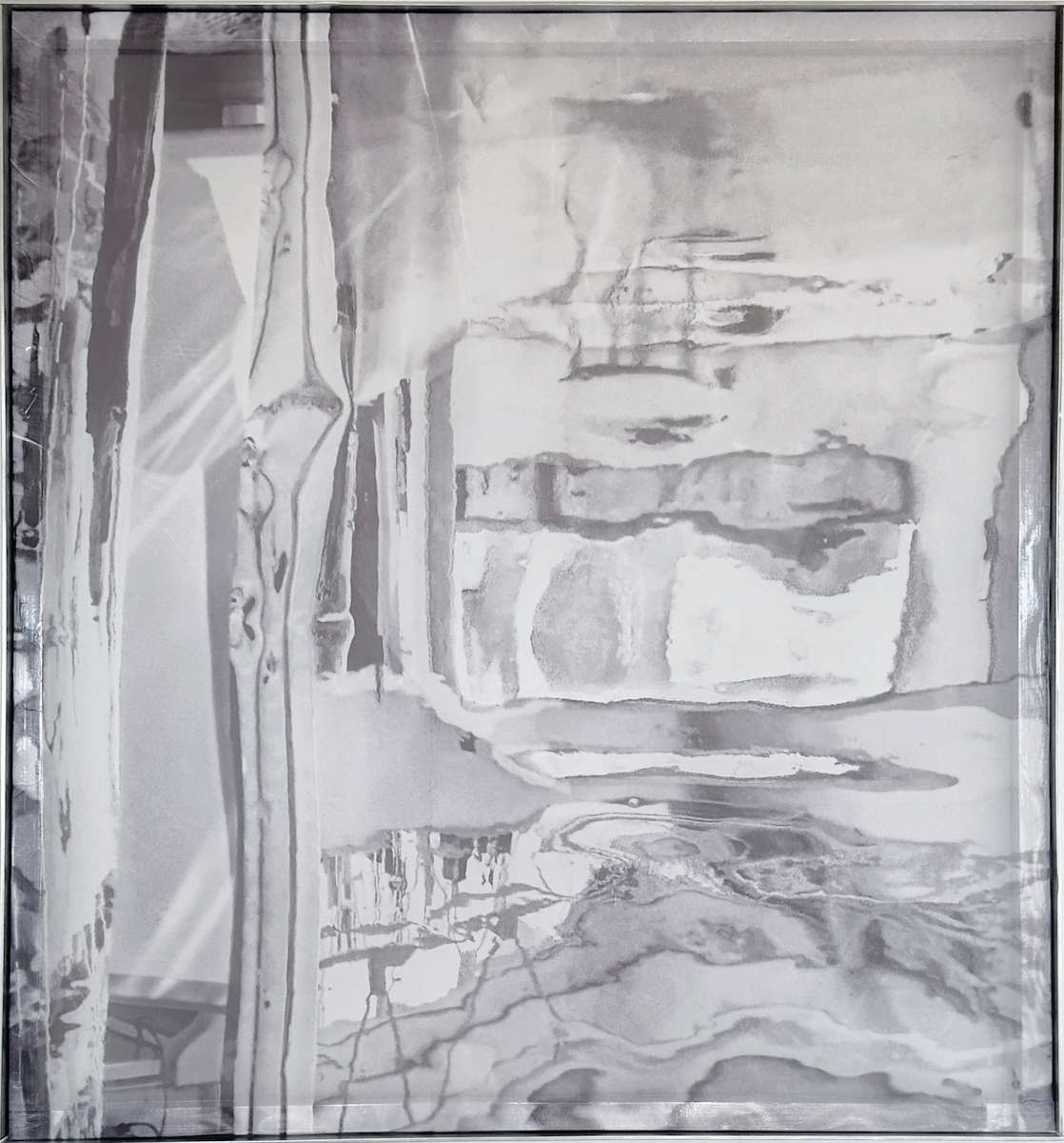 *Anamorphosis* by TATIANA JOHNSON  Image: Main View