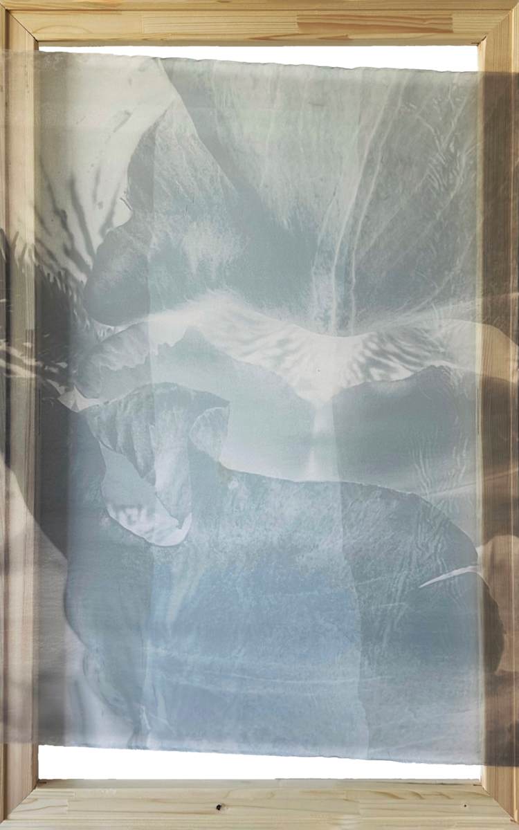 *Botanical Veil* by TATIANA JOHNSON  Image: Main View