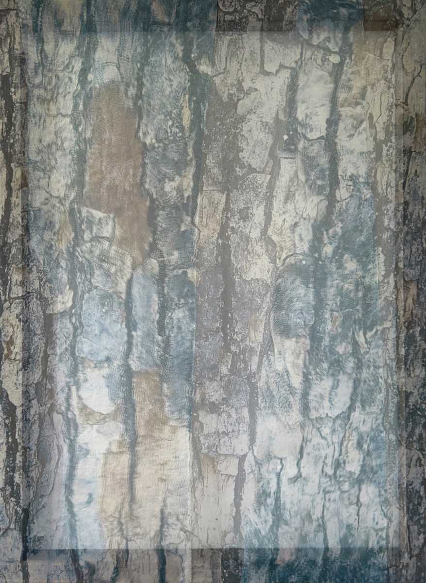 *Shadow Plane (Bark Study)* by TATIANA JOHNSON  Image:  Front view