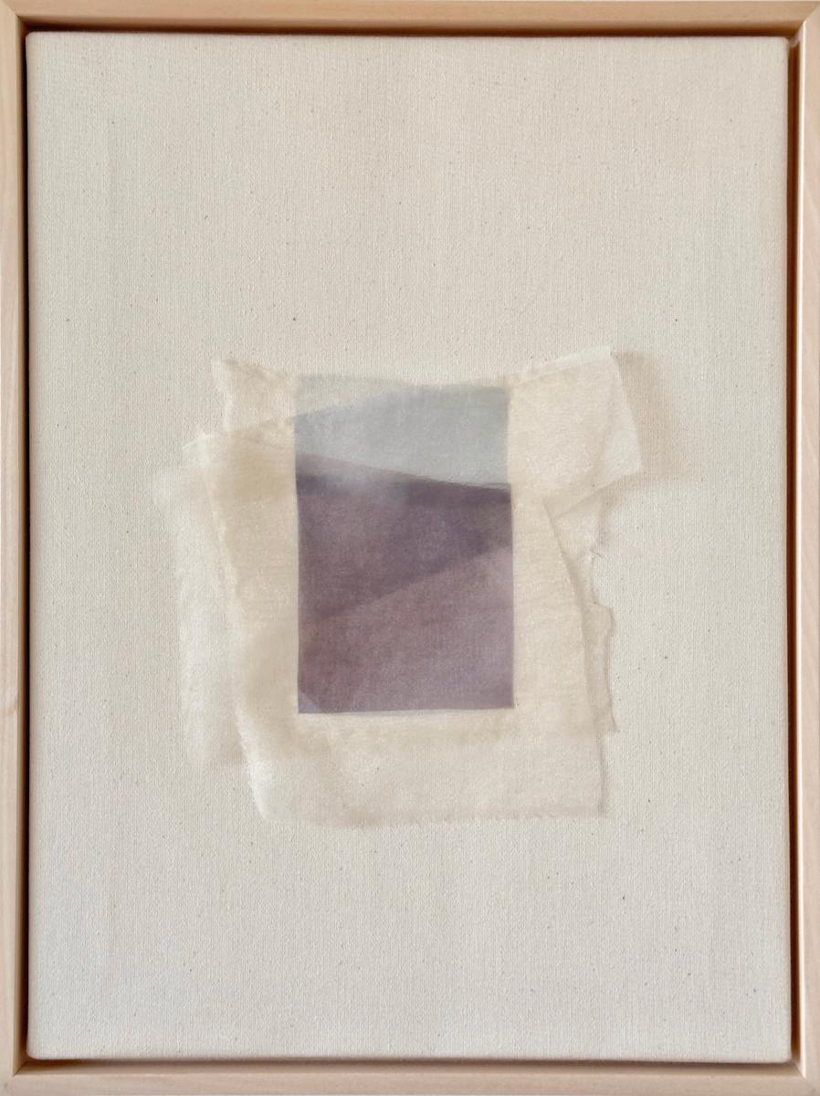 *Shadow Carrier IV* by tatiana__ johnson  Image: Front view