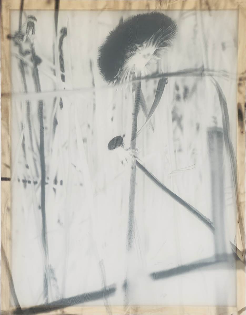 *Twinned Exposures* by tatiana__ johnson  Image: Front view