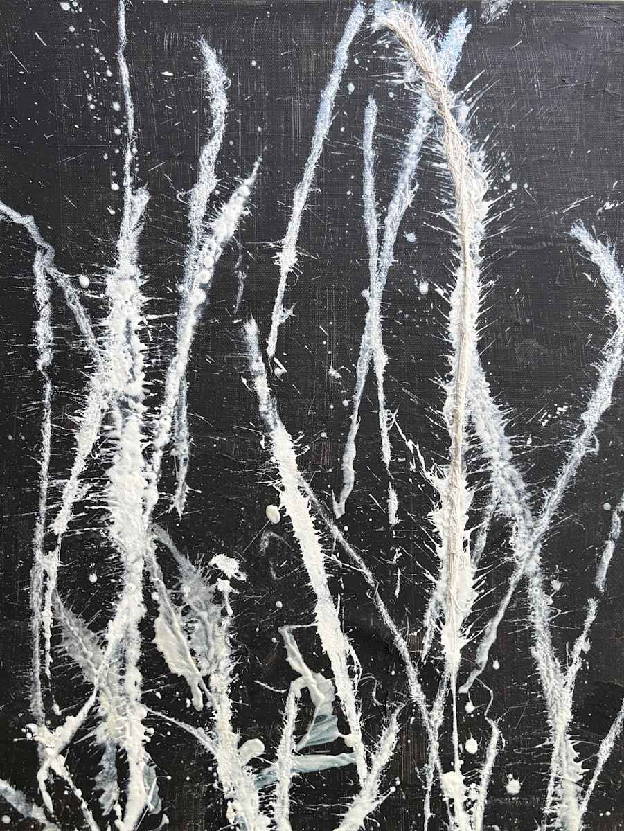 Moon Dancing by Courtney Muller 