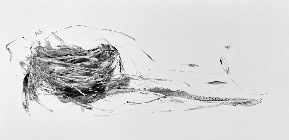 Fly By by Marney-Rose Edge, Image 1.