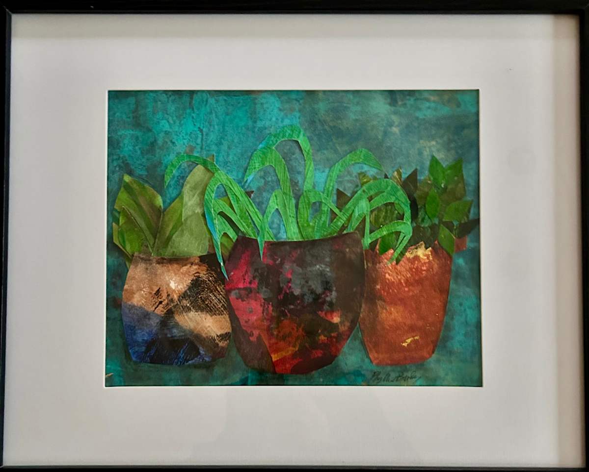3 PLANTS IN POTS by Phyllis Brody, Image 1.