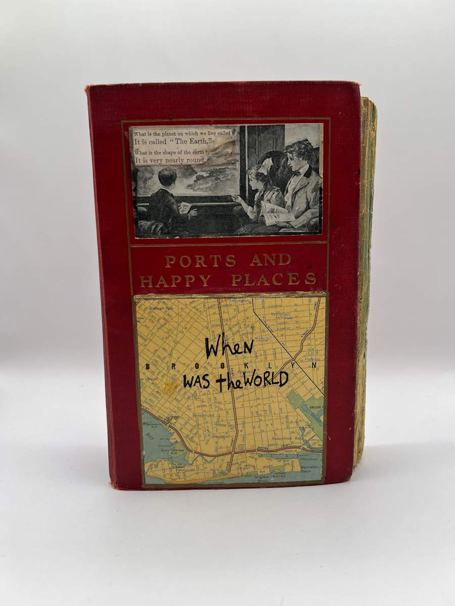 WHEN BROOKLYN WAS THE WORLD by Phyllis Brody 