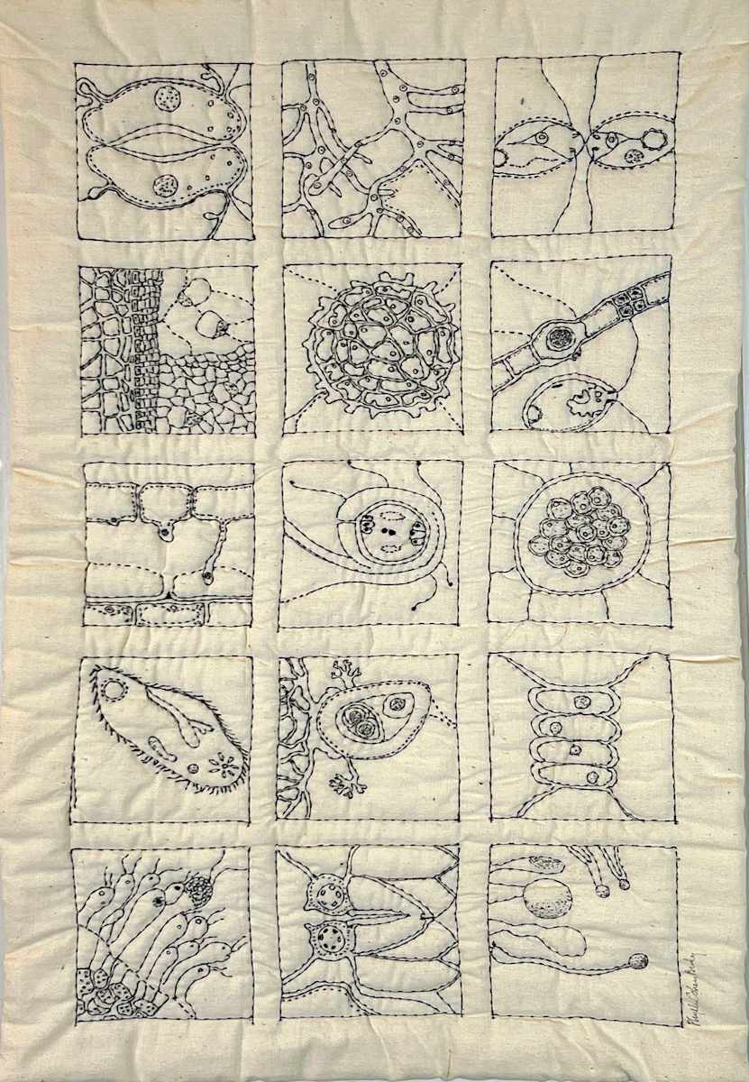 CELL STRUCTURE by Phyllis Brody 