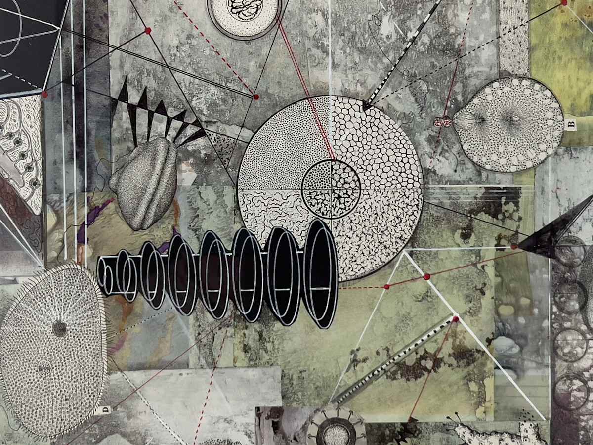 IS BIOLOGY DESTINY? by Phyllis Brody 