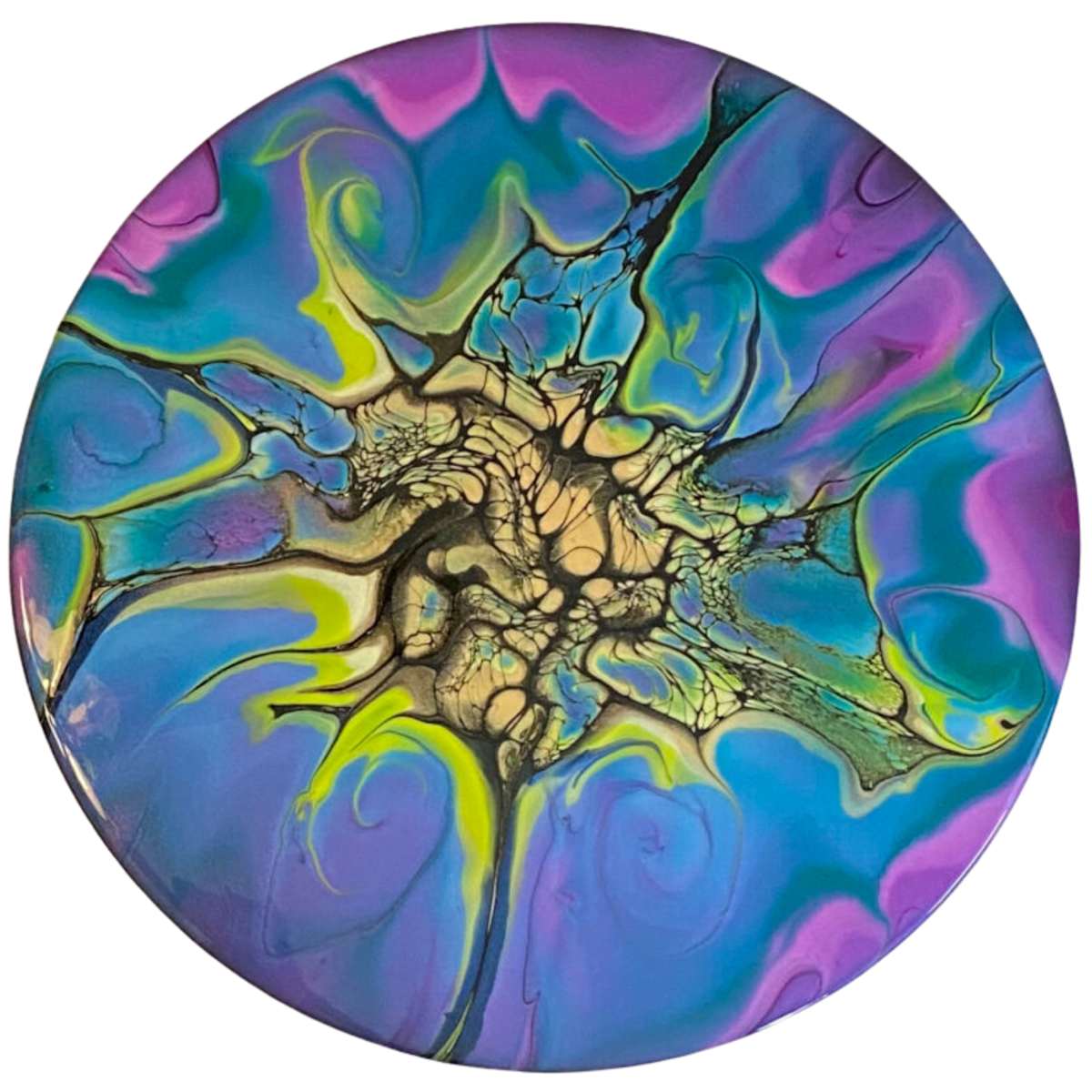 All Lit Up! by Kimberly Altman, Image 1.