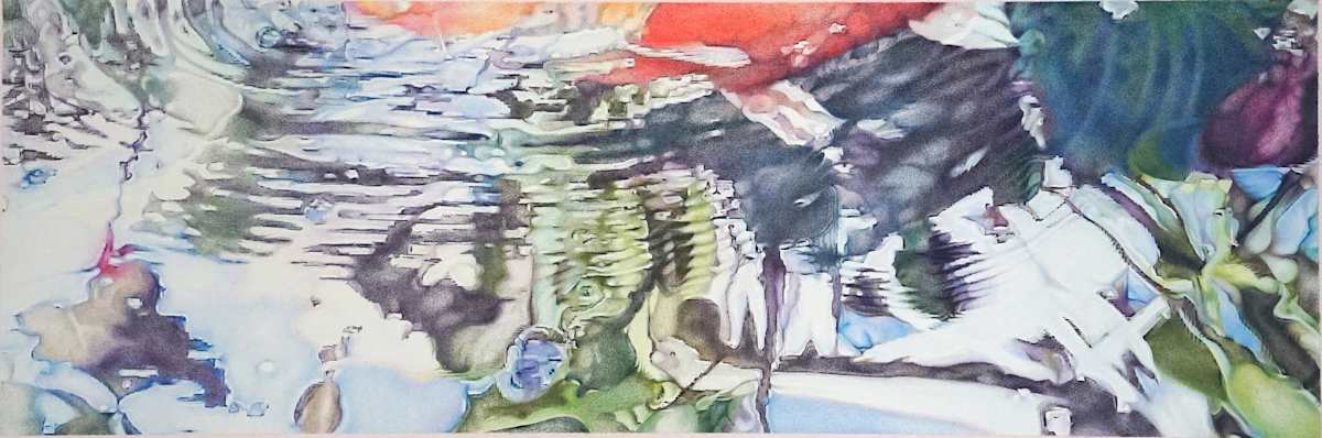 Underbelly by Lynn Stephenson 