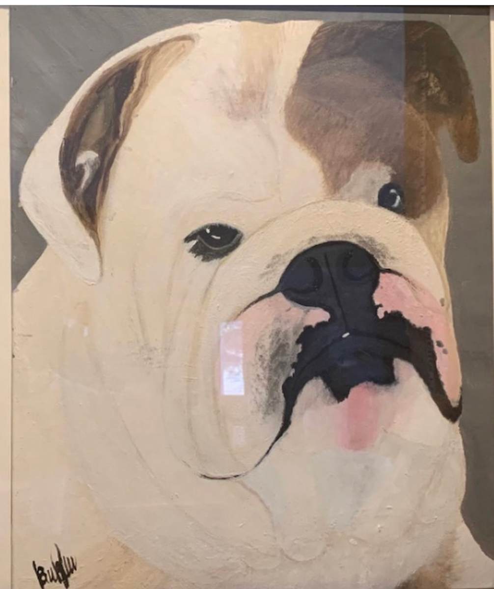Rocko by Bibiana Rivero  Image: My sweet Boy