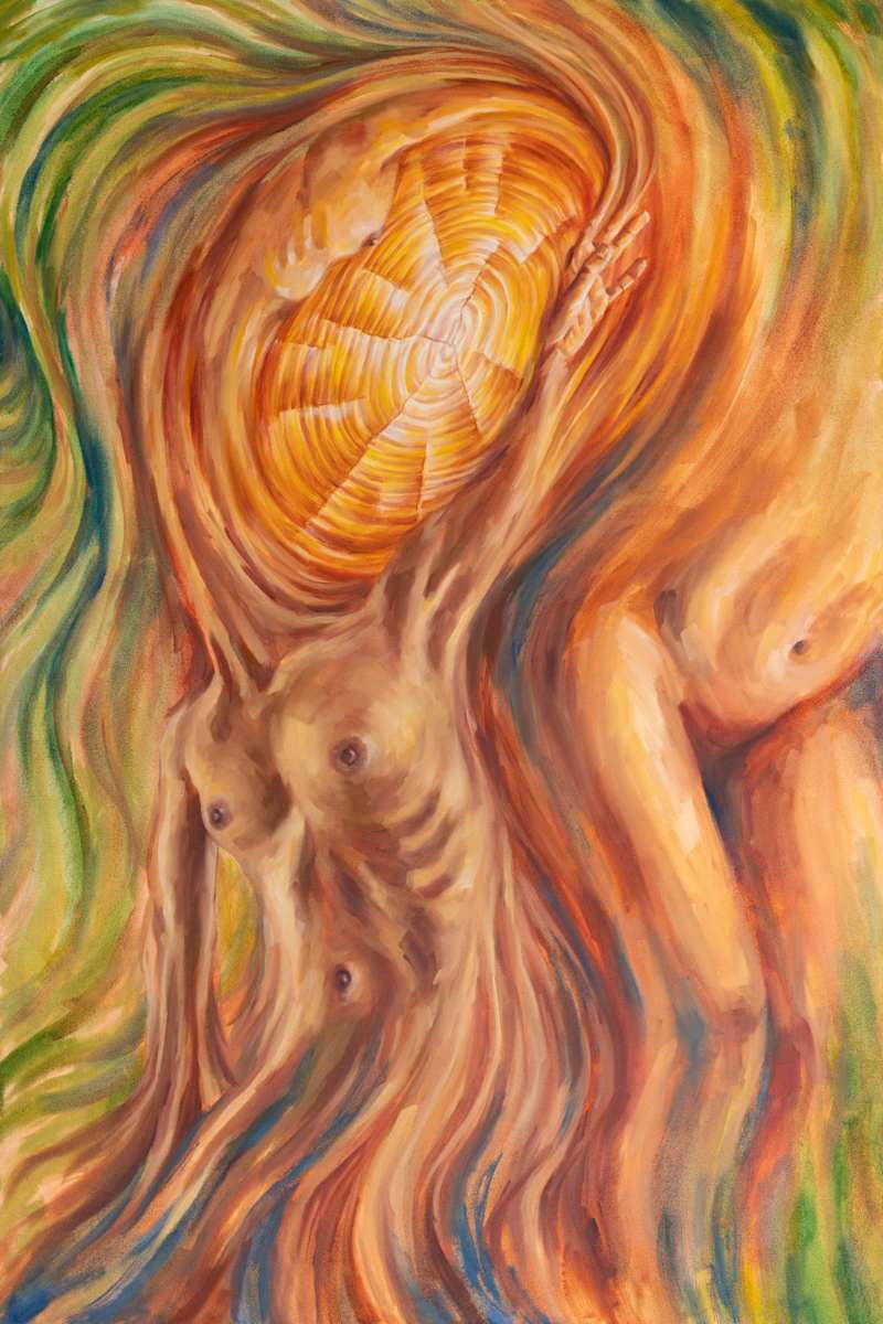 Sequoia by Jackie Liu, Image 1.