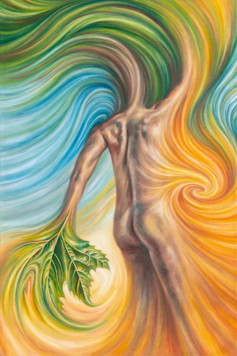 Sycamore by Jackie Liu, Image 1.