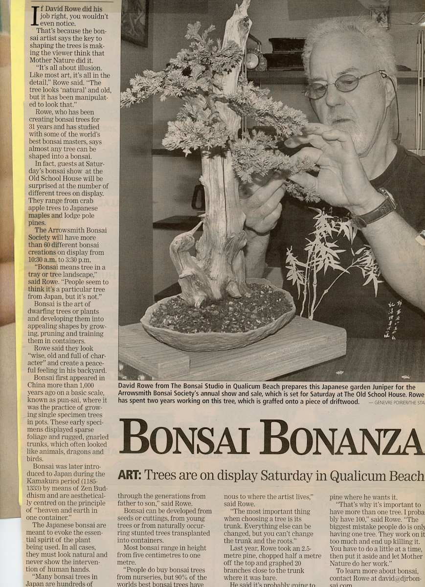 Bonsai Bonanza - The Star by David Rowe 