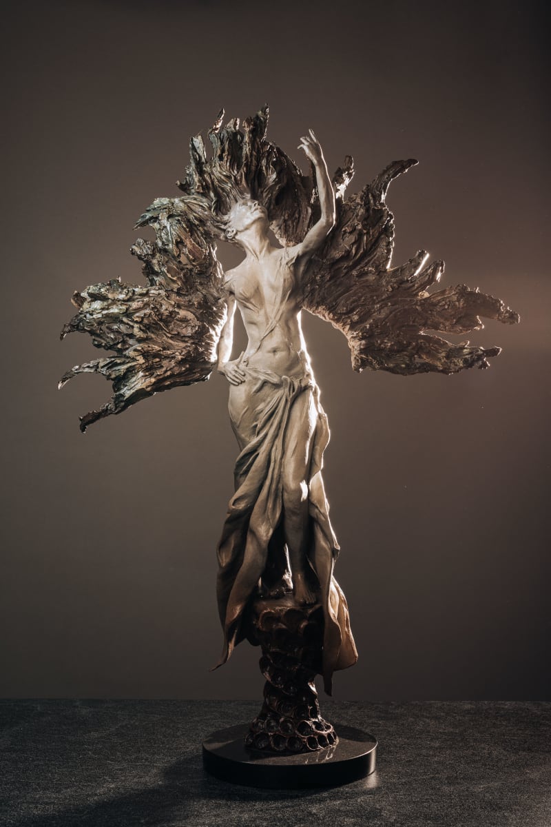 Sunrise by Jonathan Morgan 