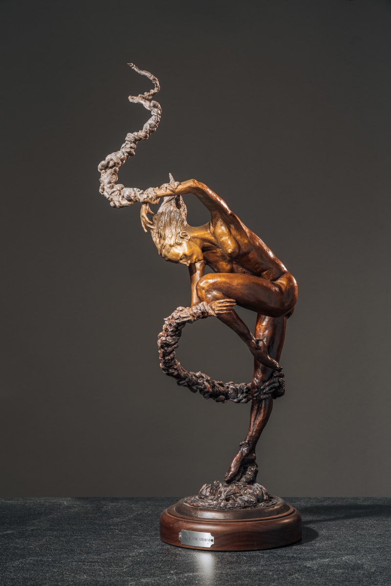 Eye of the Storm by Jonathan Morgan 