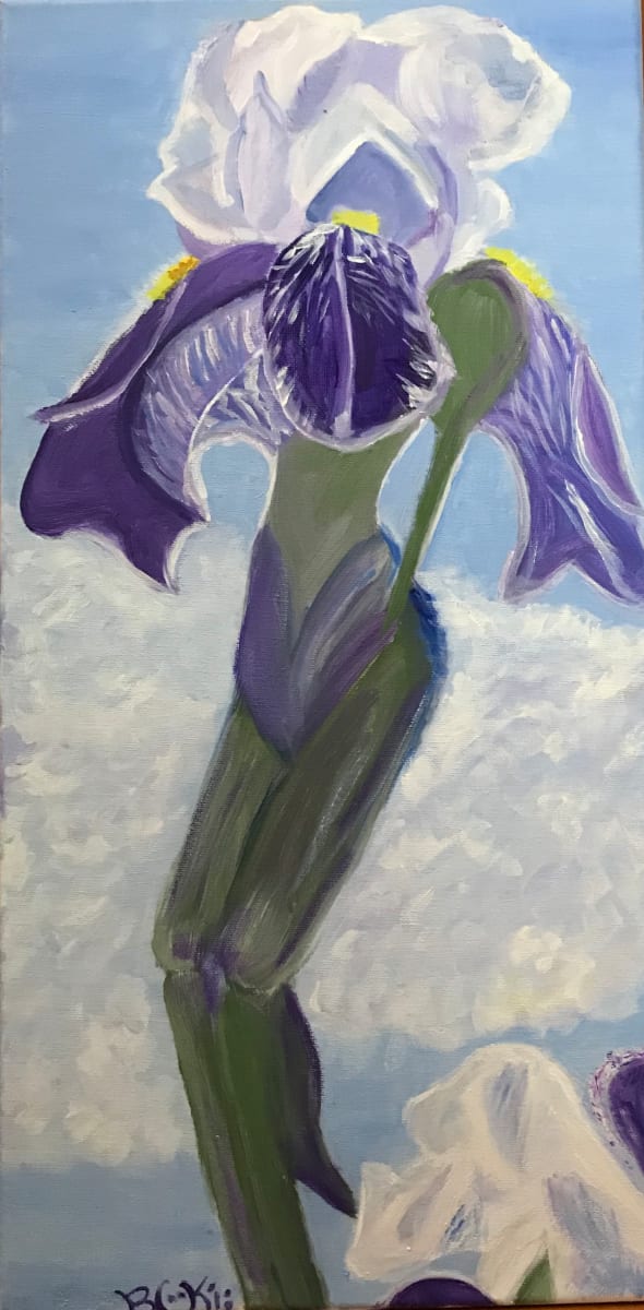 Tap Dancing Iris 