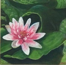 Water Lily by Becky Cook 