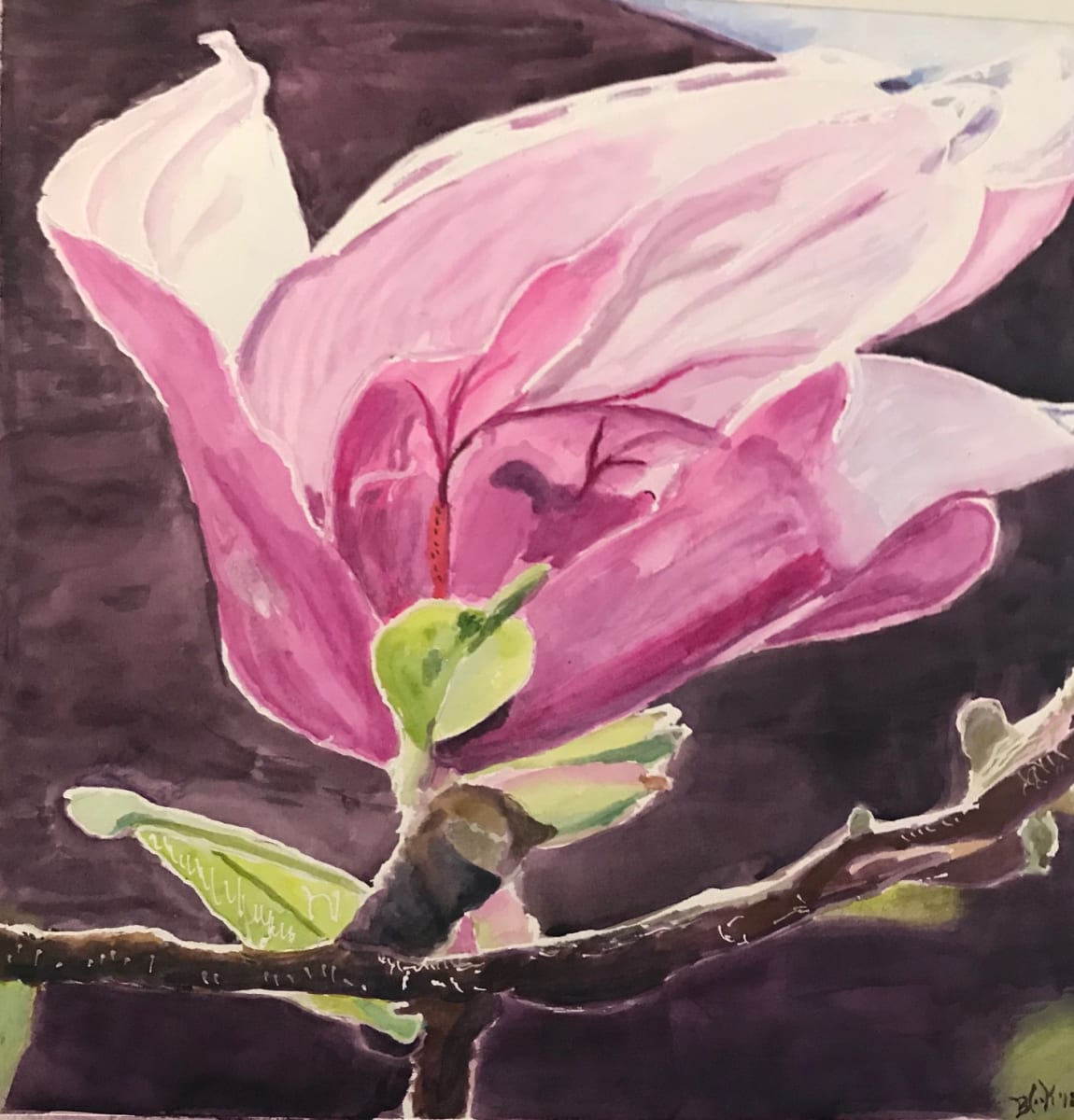 Dancing Magnolia by Becky Cook 