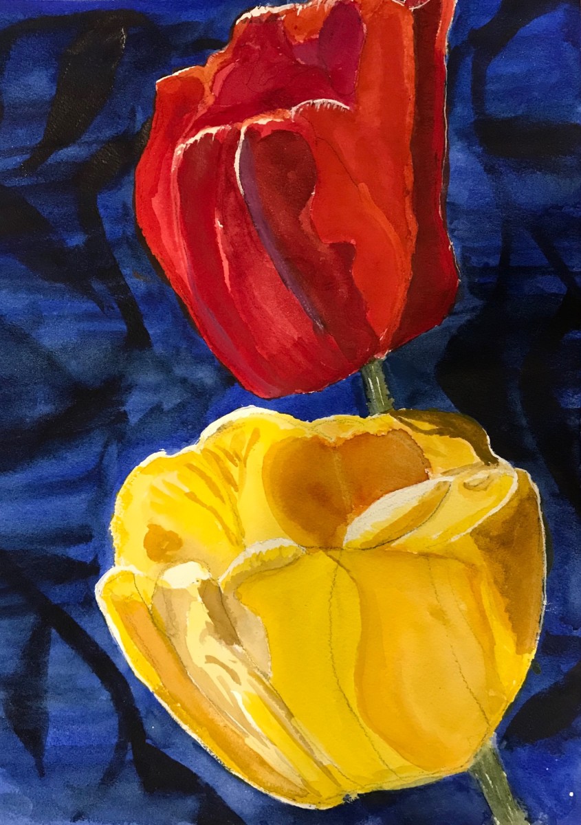 Tulip Garden III by Becky Cook 