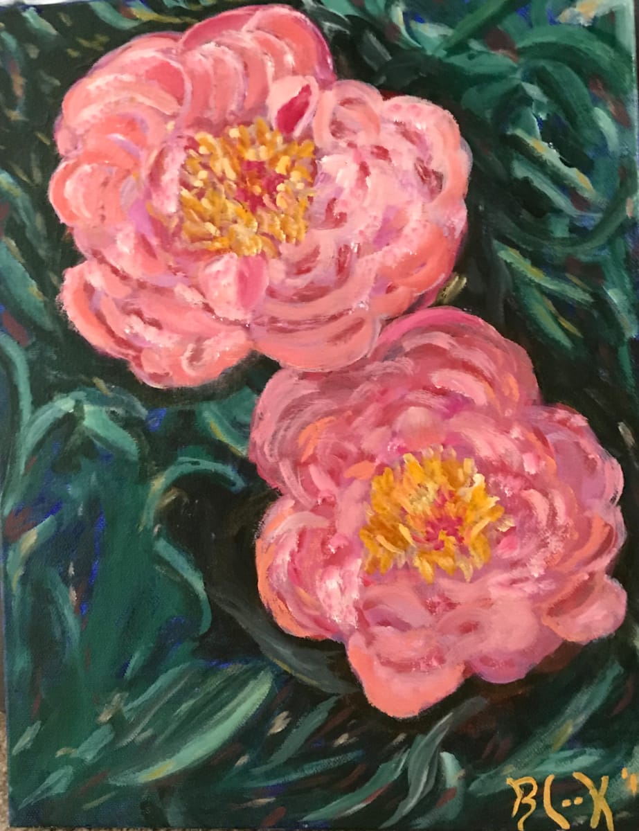 Cider Hill Peonies 