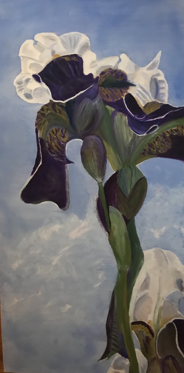 Dancing Iris by Becky Cook 