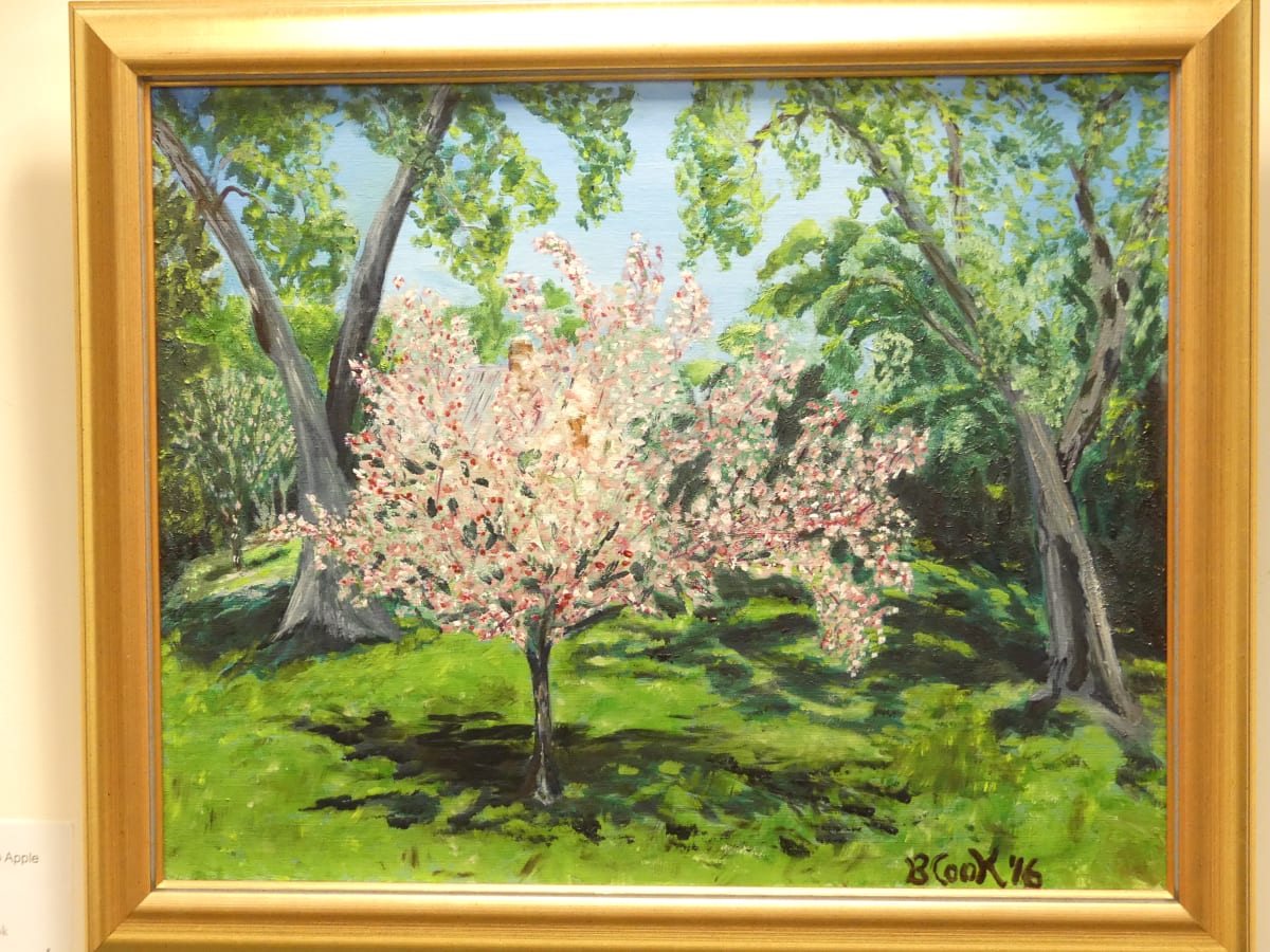 Crab Apple in Blossom by Becky Cook 