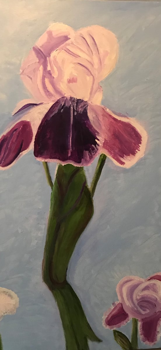 Demure Iris by Becky Cook 