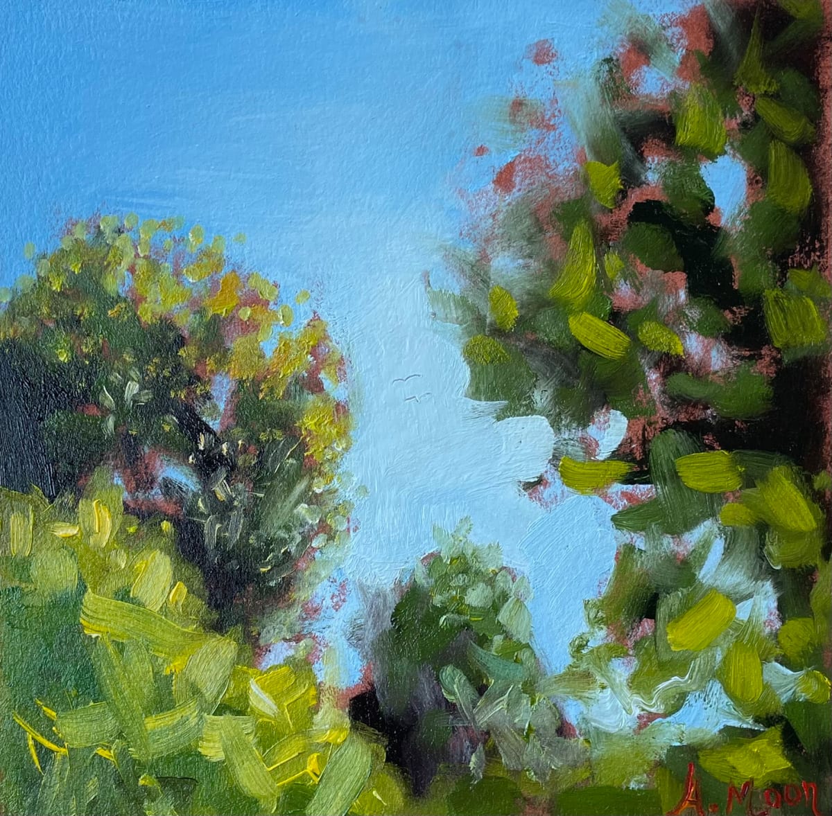 Backyard Blue Sky by Aynslee Moon Smithee 