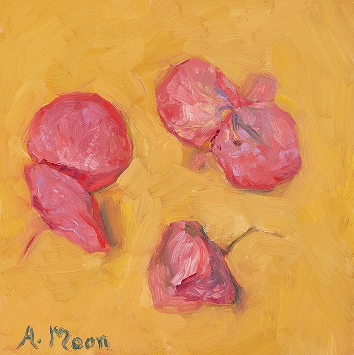 Begonia Blossoms by Aynslee Moon Smithee 