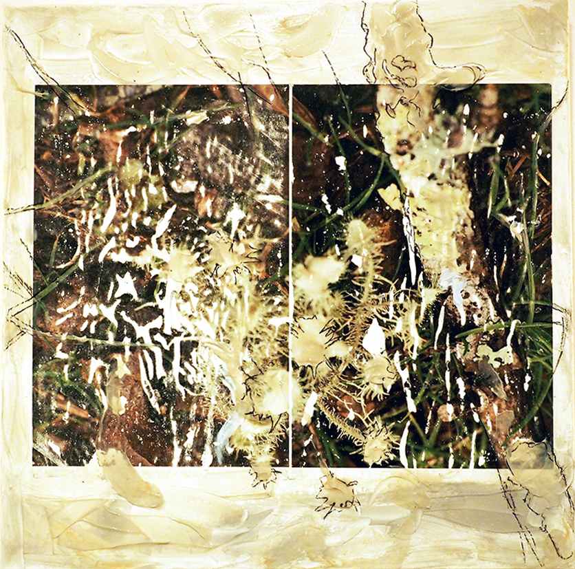 Gray Green by Mila Rossi 