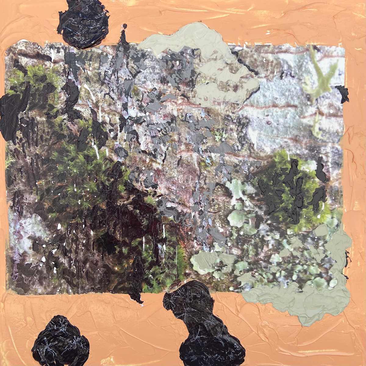Terracotta Moss I by Mila Rossi, Image 1.
