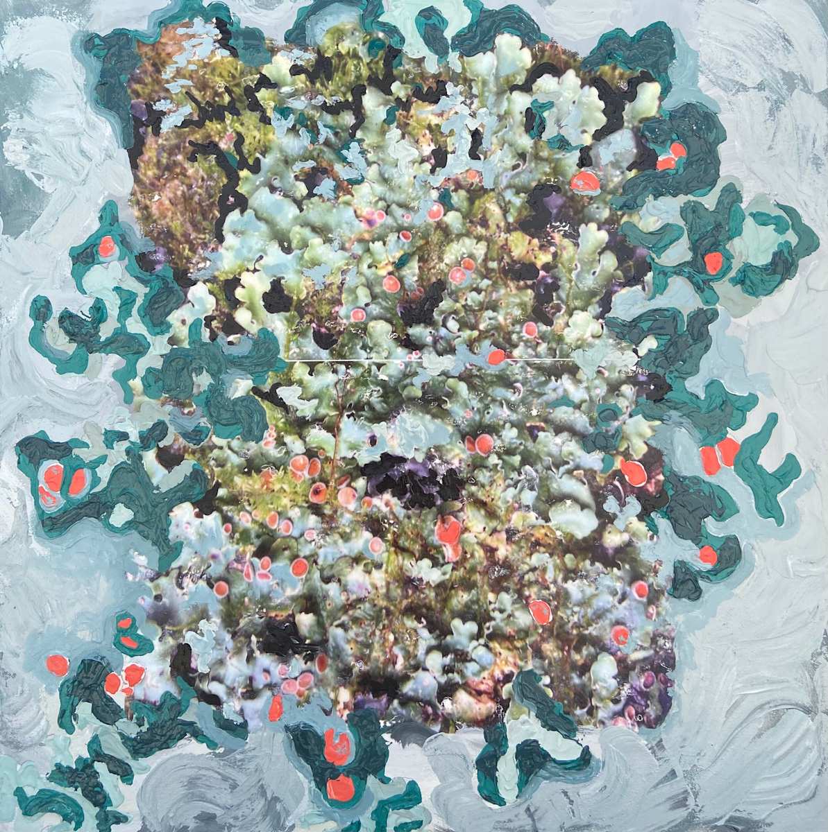 Orange Lichen by Mila Rossi 