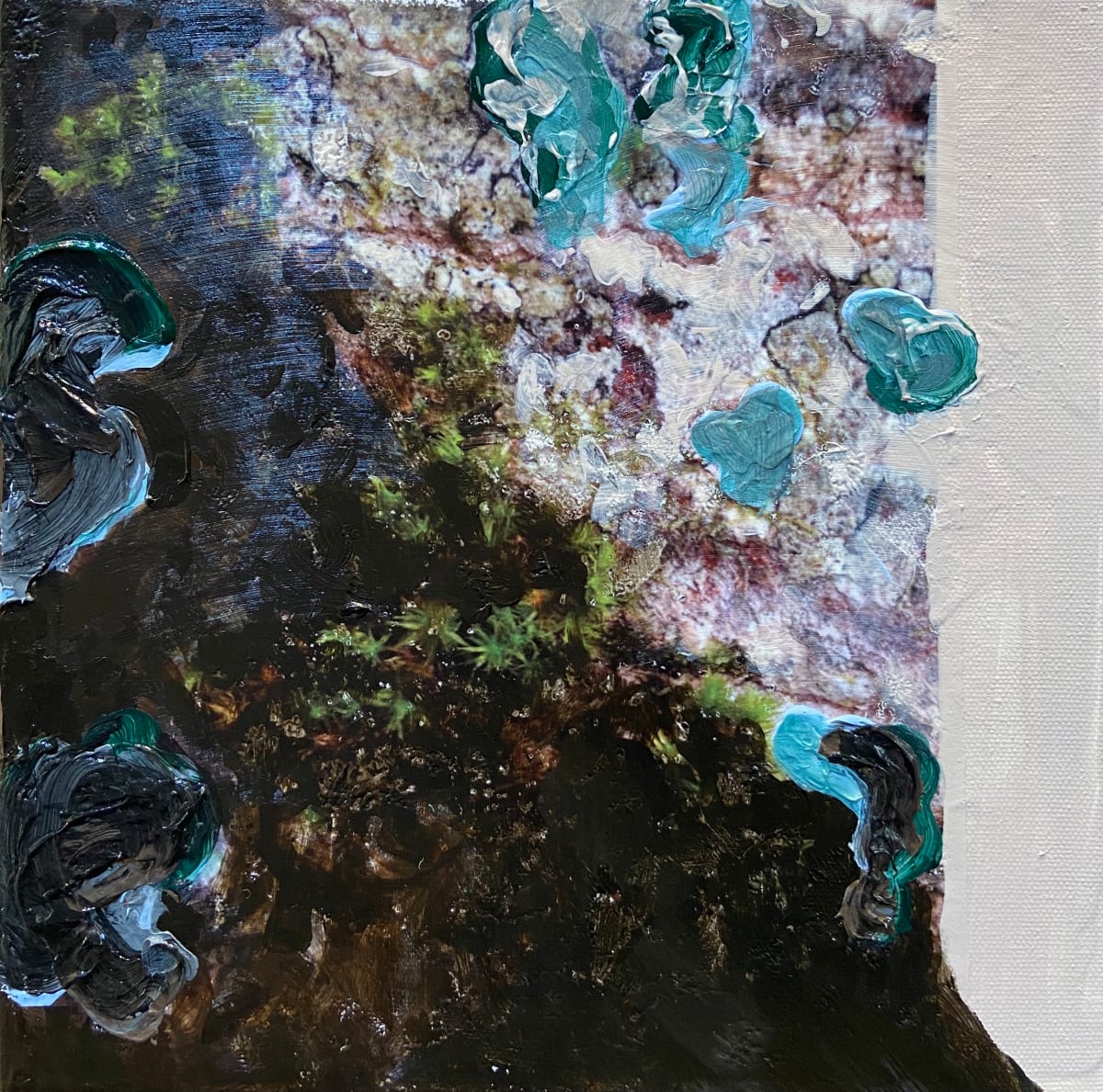 Mossy Tree III by Mila Rossi, Image 6.