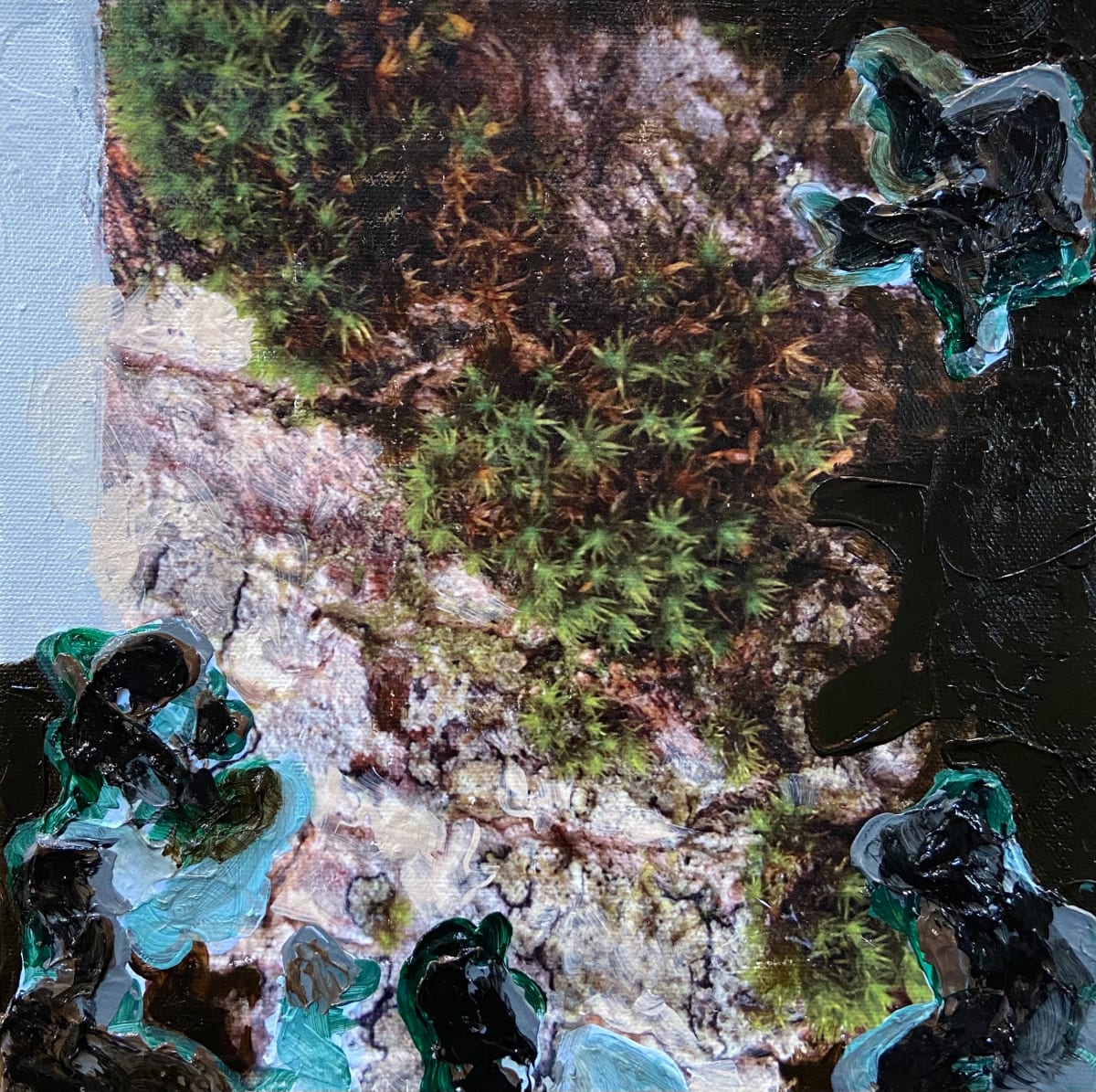 Mossy Tree I by Mila Rossi, Image 7.
